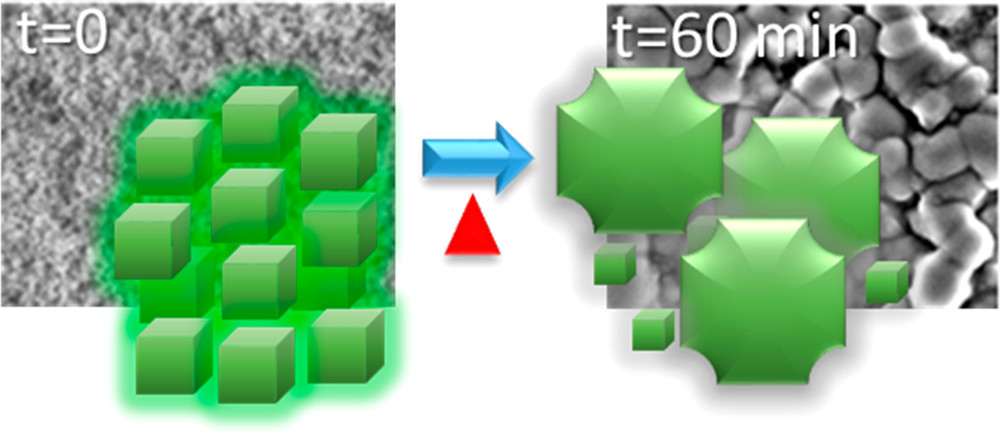 Tracking Transformative Transitions: From CsPbBr<sub>3</sub> Nanocrystals to Bulk Perovskite Films